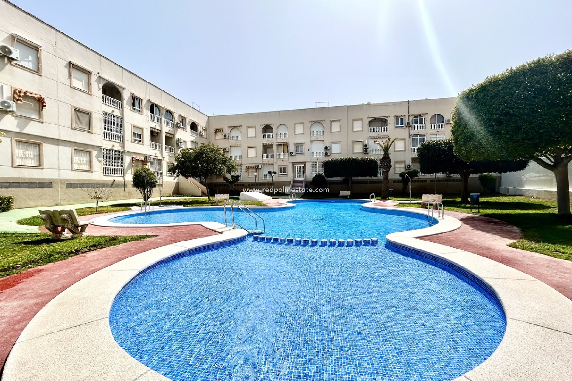 Reventa - Apartmentos -
Torrevieja