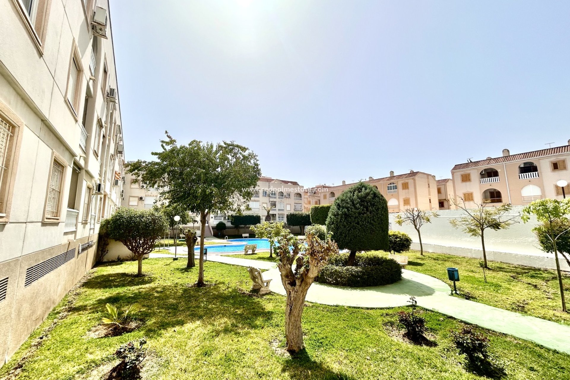 Reventa - Apartmentos -
Torrevieja