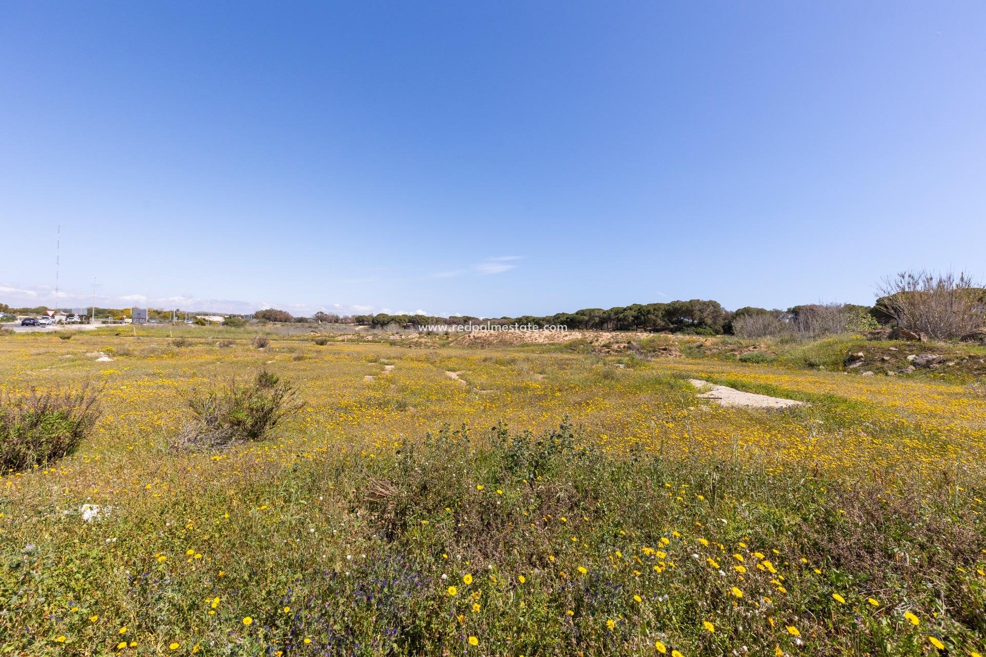 Reventa - Bungalow -
Guardamar del Segura - Urbanizaciones