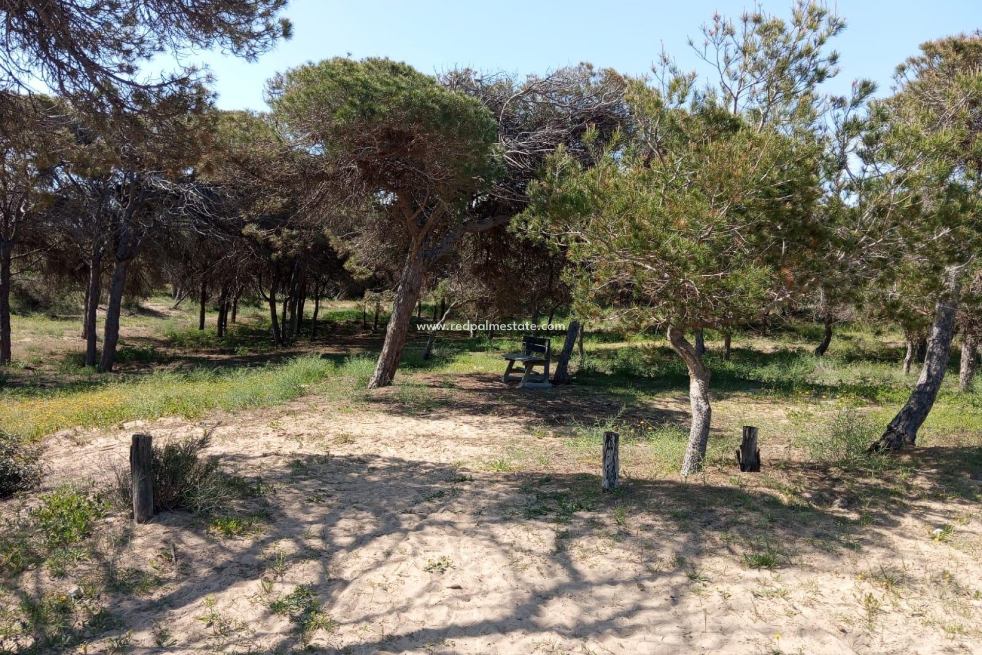 Reventa - Bungalow -
Guardamar del Segura - Urbanizaciones