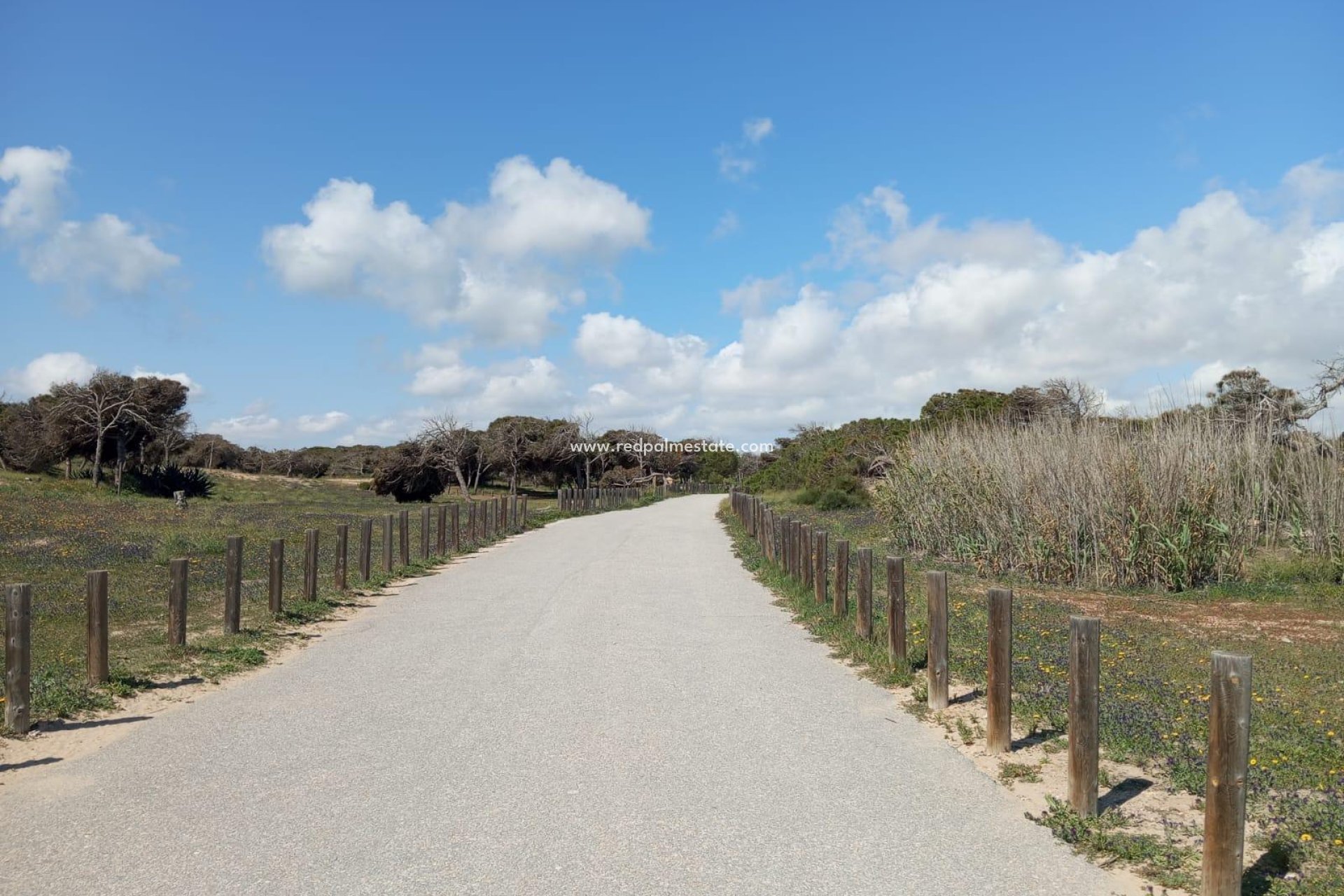 Reventa - Bungalow -
Guardamar del Segura - Urbanizaciones