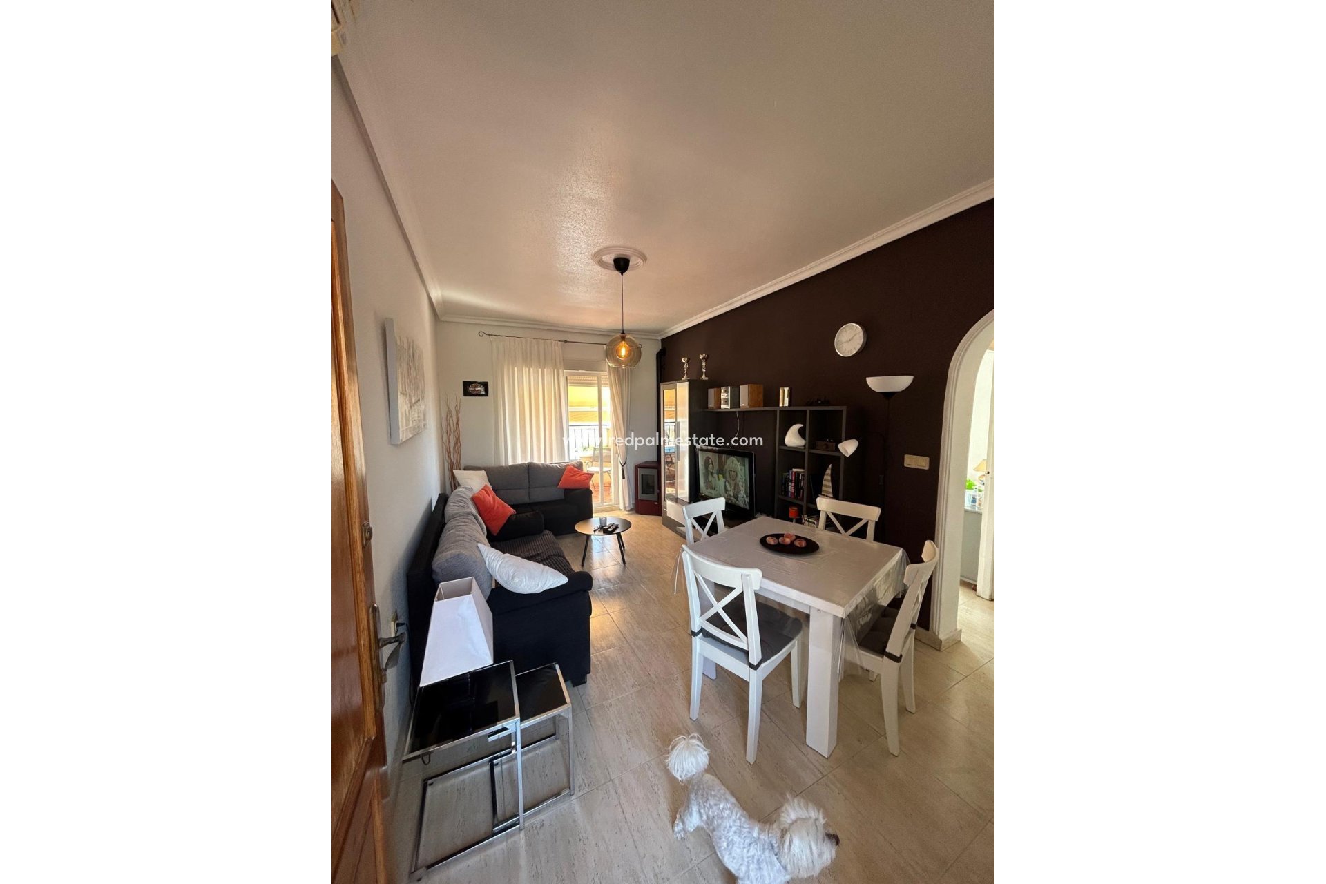 Reventa - Bungalow -
Torrevieja - Aguas Nueva