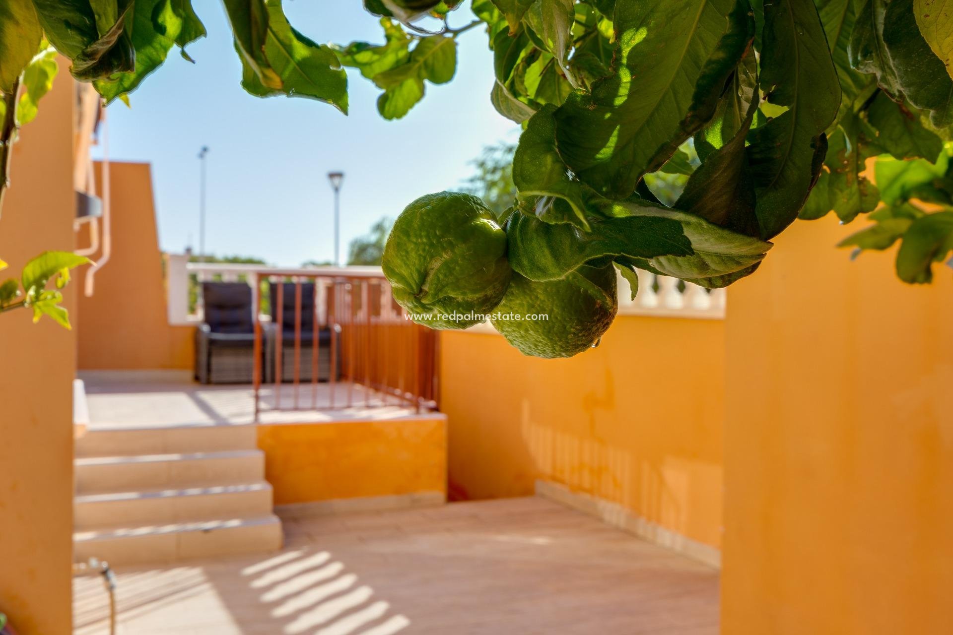 Reventa - Bungalow -
Torrevieja - Aguas Nueva