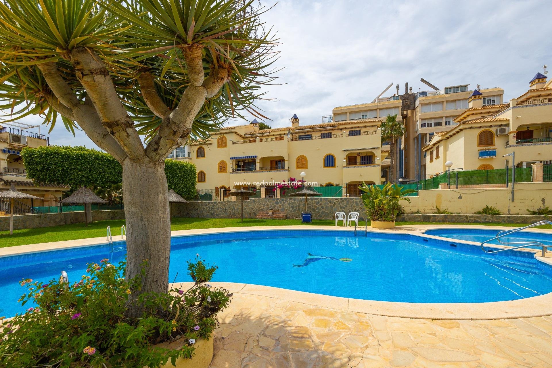 Reventa - Bungalow -
Torrevieja - La Mata