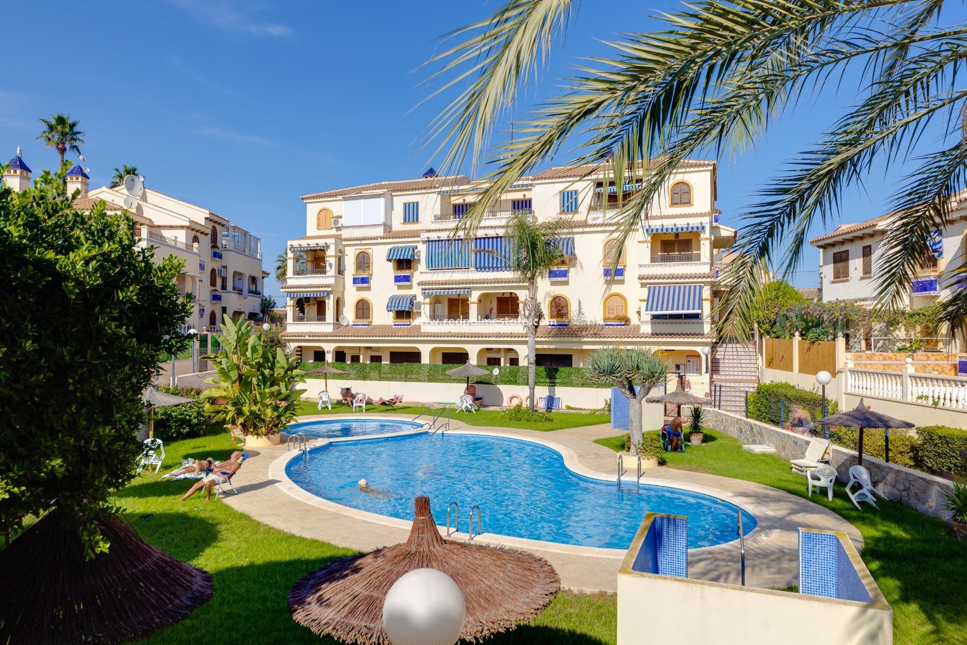 Reventa - Bungalow -
Torrevieja - La Mata