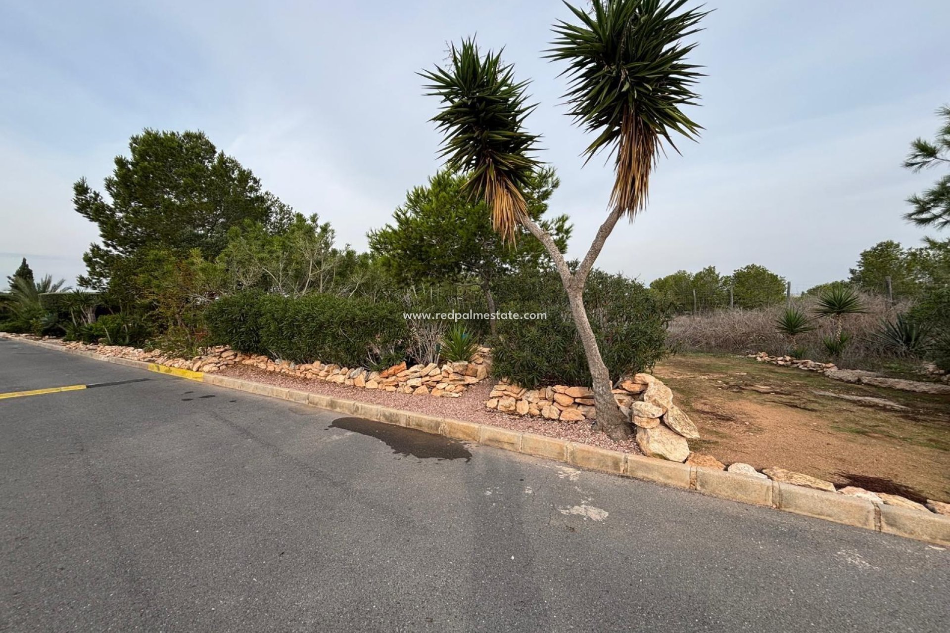 Reventa - Bungalow -
Torrevieja - La Siesta - El Salado - Torreta