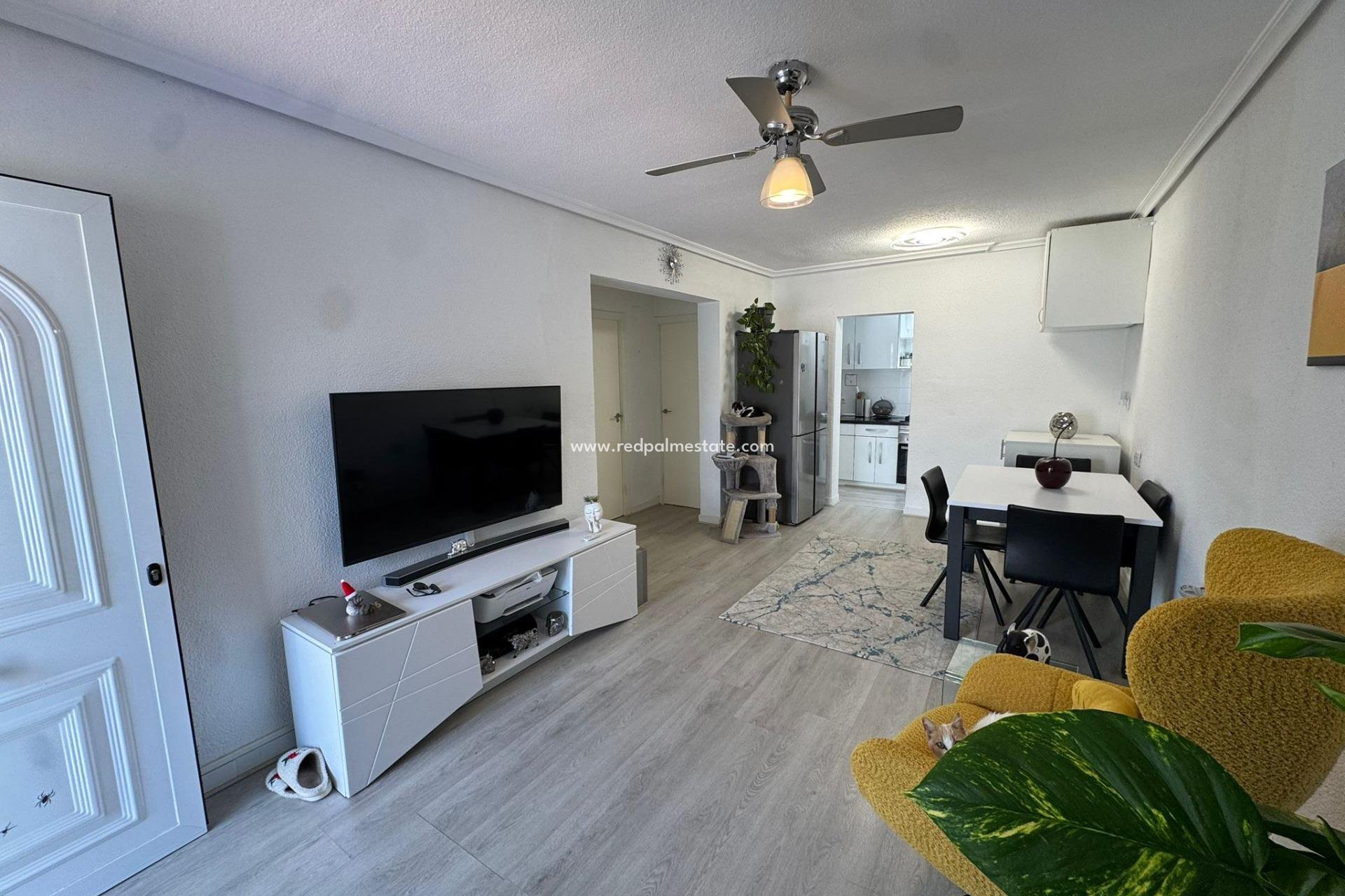 Reventa - Bungalow -
Torrevieja - La Siesta - El Salado - Torreta
