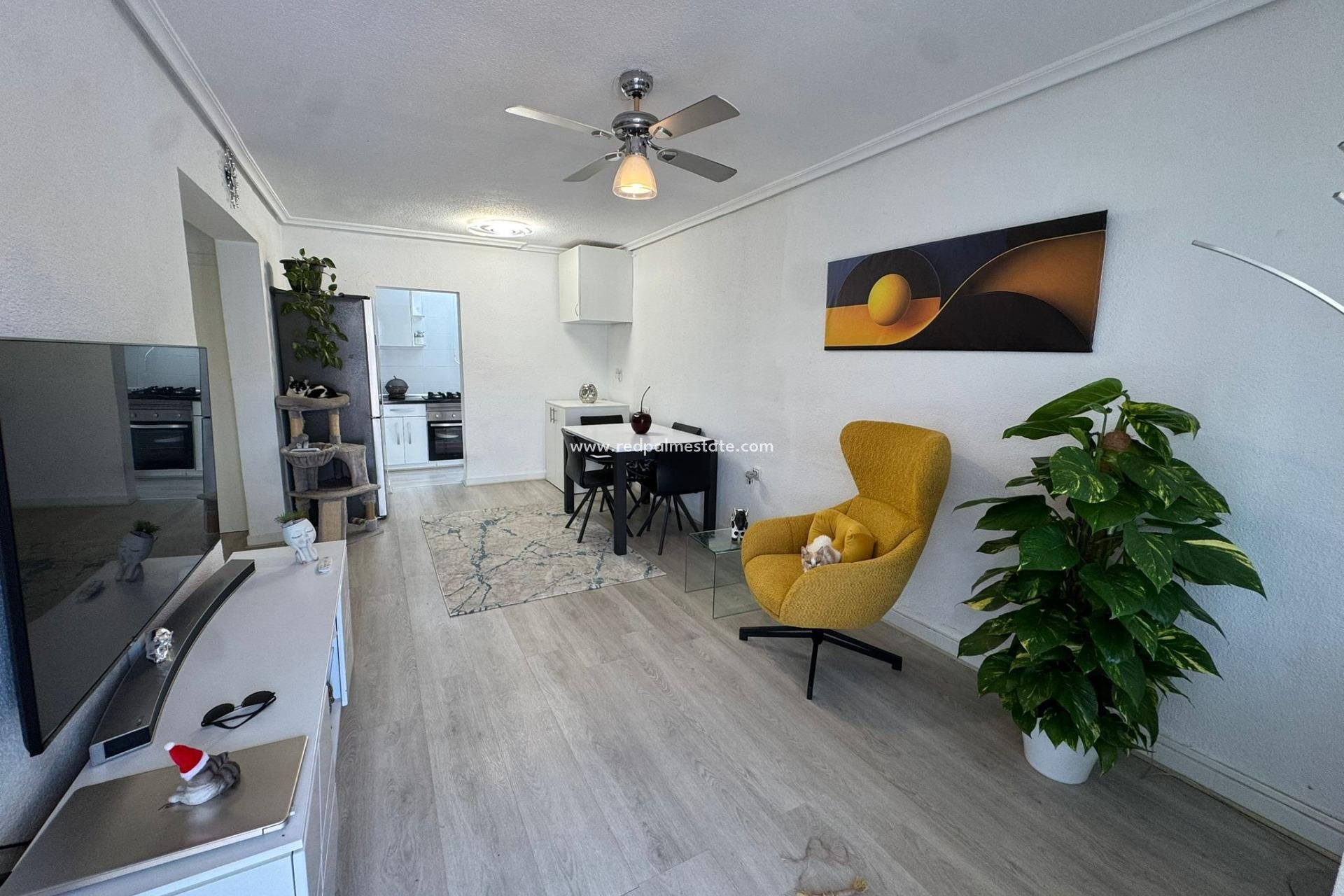 Reventa - Bungalow -
Torrevieja - La Siesta - El Salado - Torreta
