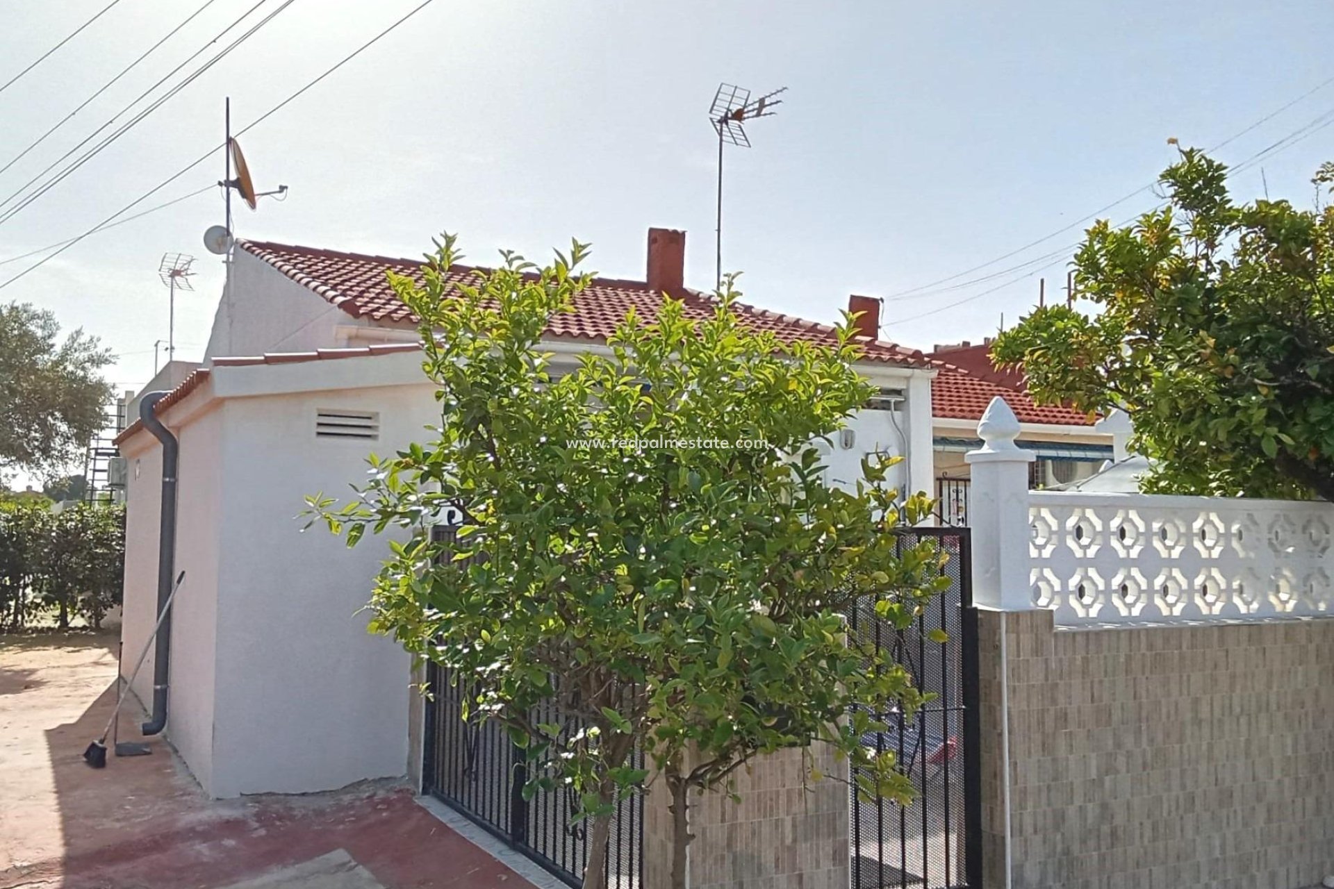 Reventa - Bungalow -
Torrevieja - La Siesta - El Salado - Torreta