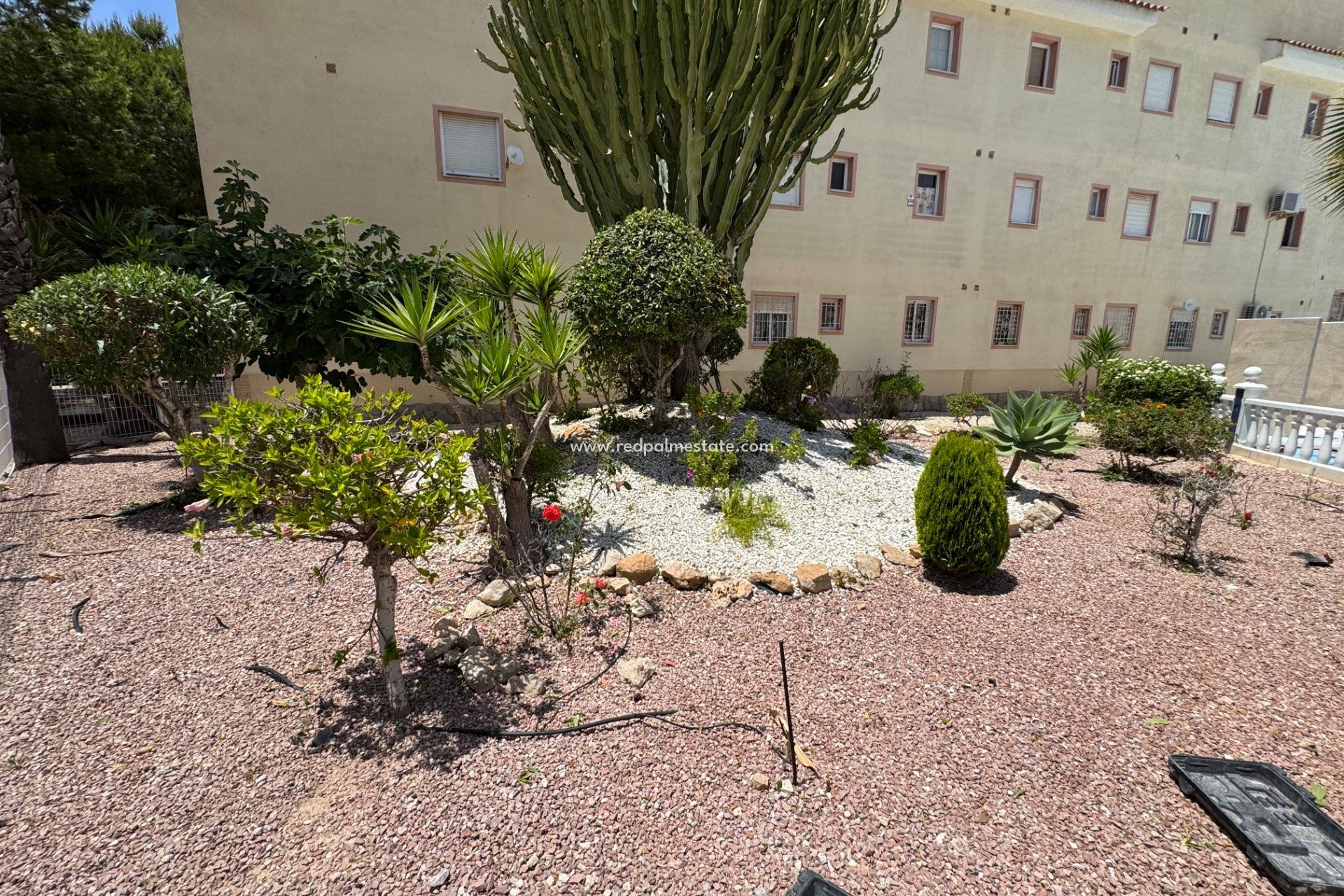 Reventa - Bungalow -
Torrevieja - La Siesta - El Salado - Torreta