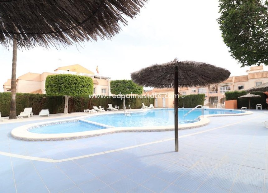 Reventa - Bungalow -
Torrevieja - Lago jardin