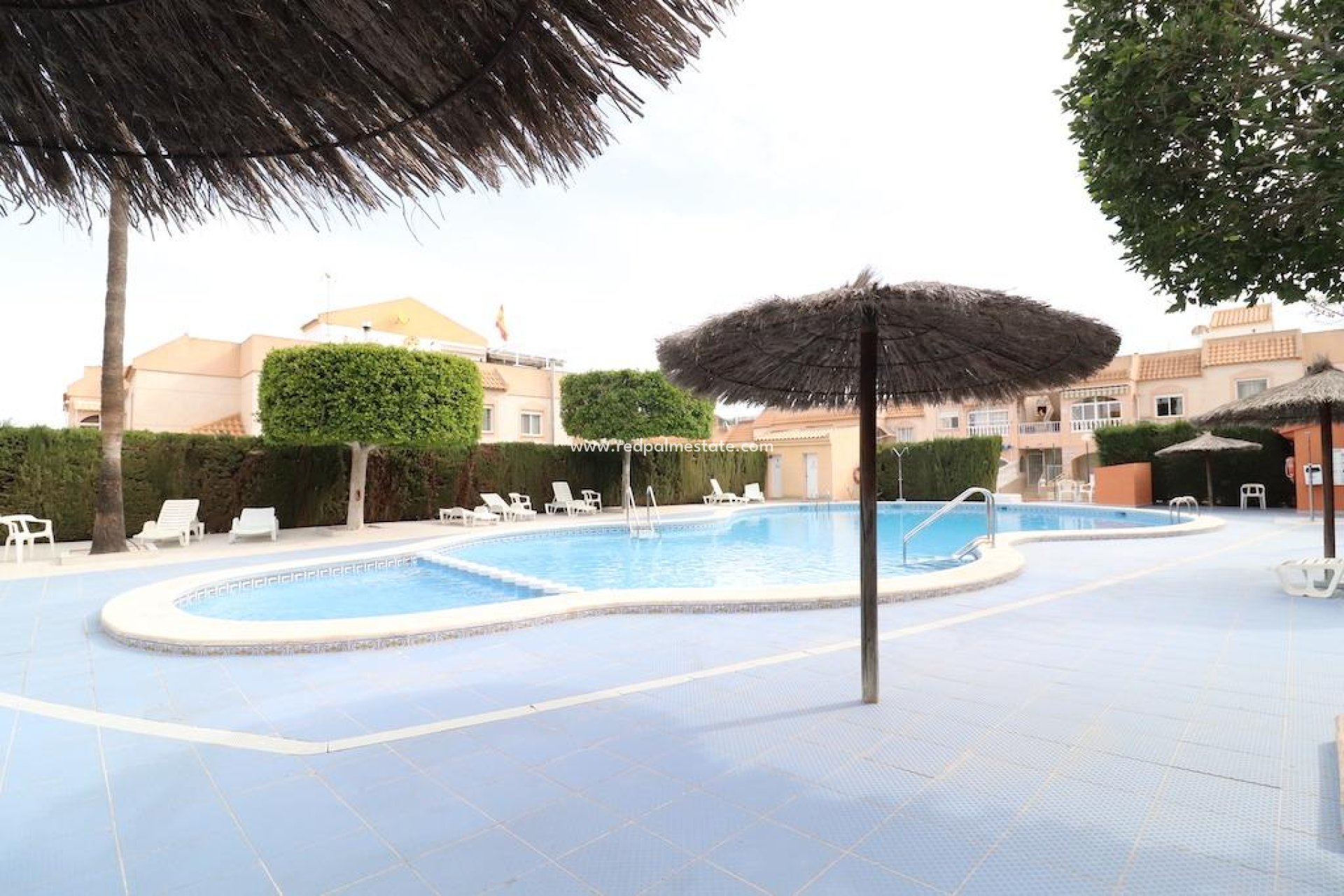 Reventa - Bungalow -
Torrevieja - Lago jardin