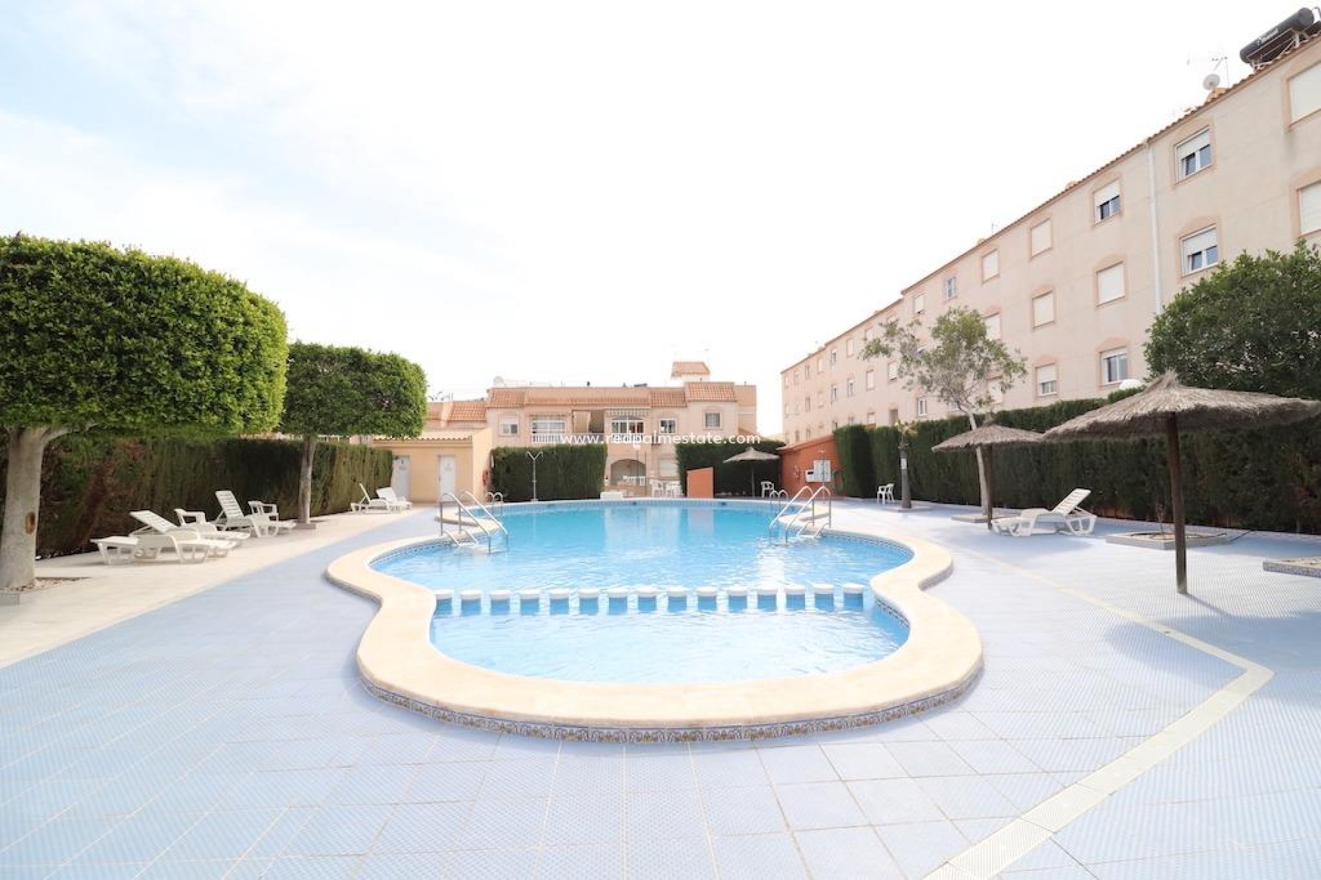 Reventa - Bungalow -
Torrevieja - Lago jardin