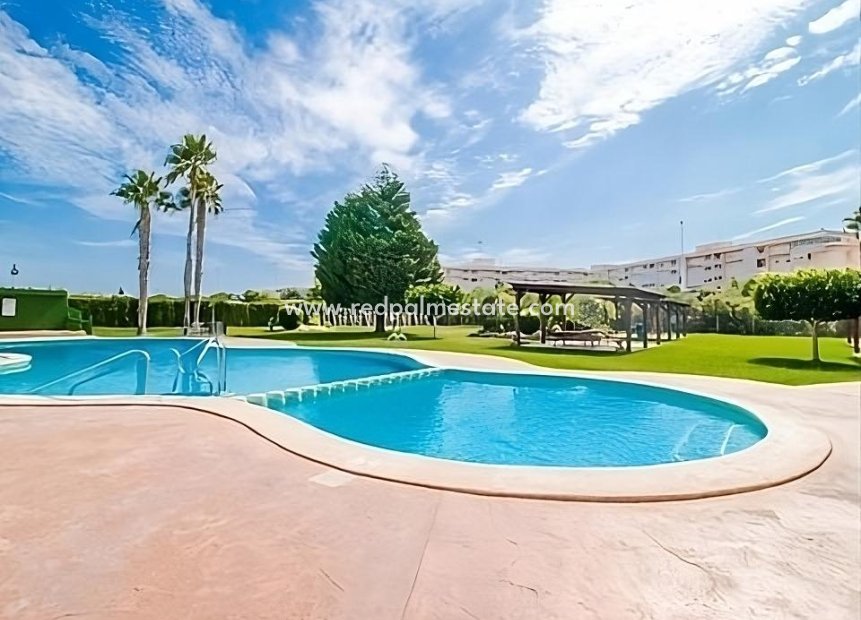 Reventa - Bungalow -
Torrevieja - PARQUE DE LAS NACIONES