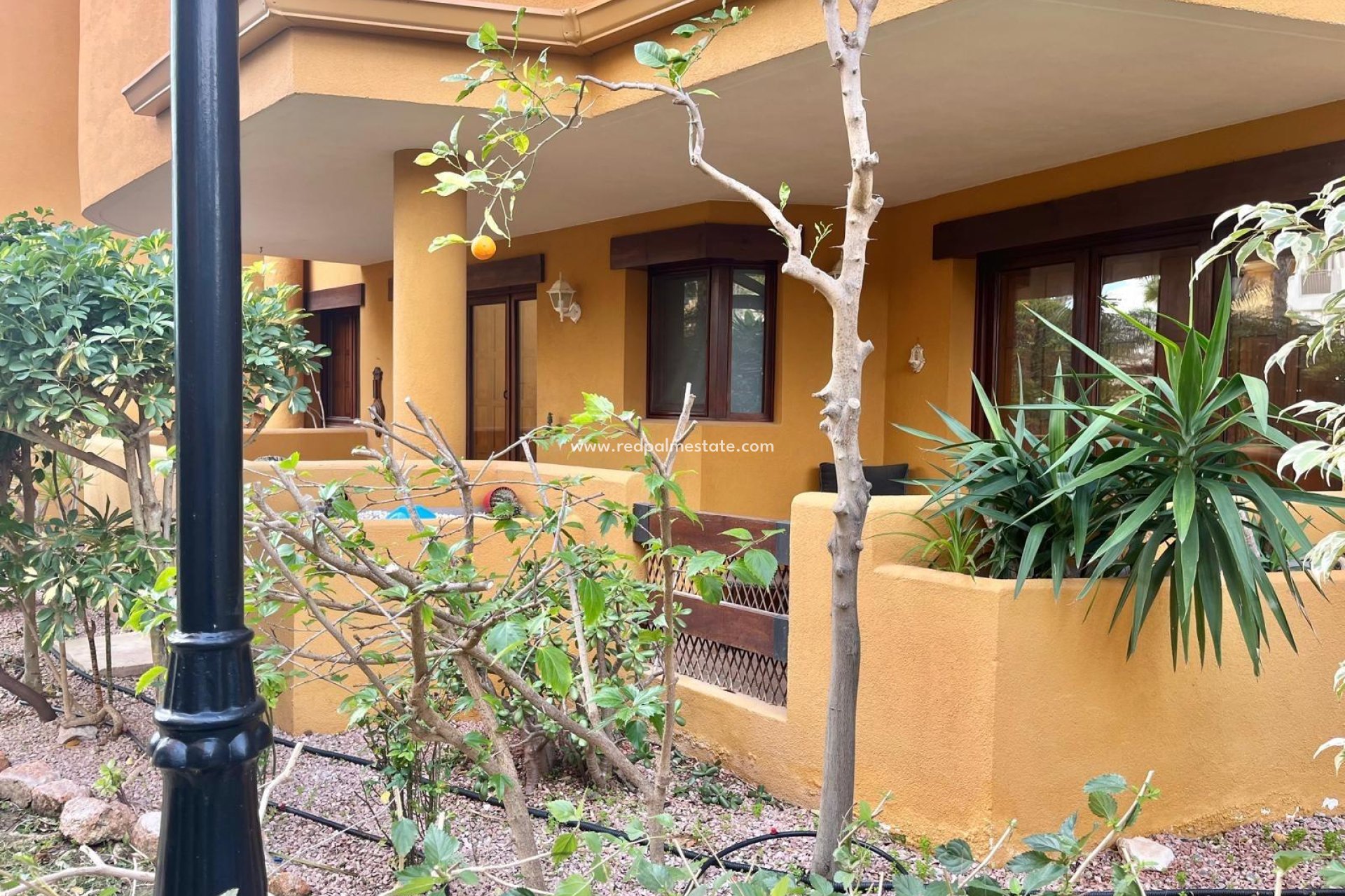 Reventa - Bungalow -
Torrevieja - Punta prima