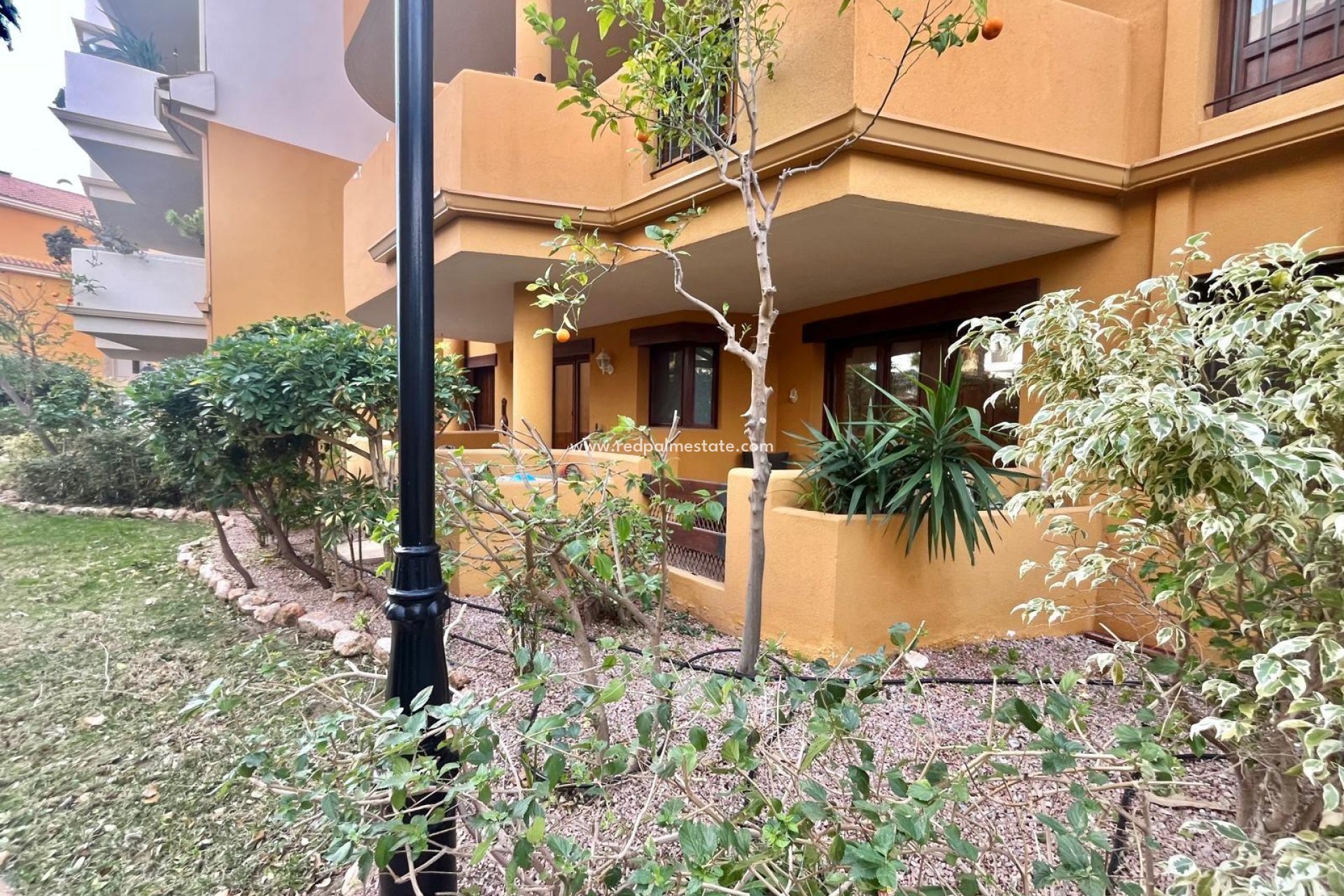 Reventa - Bungalow -
Torrevieja - Punta prima