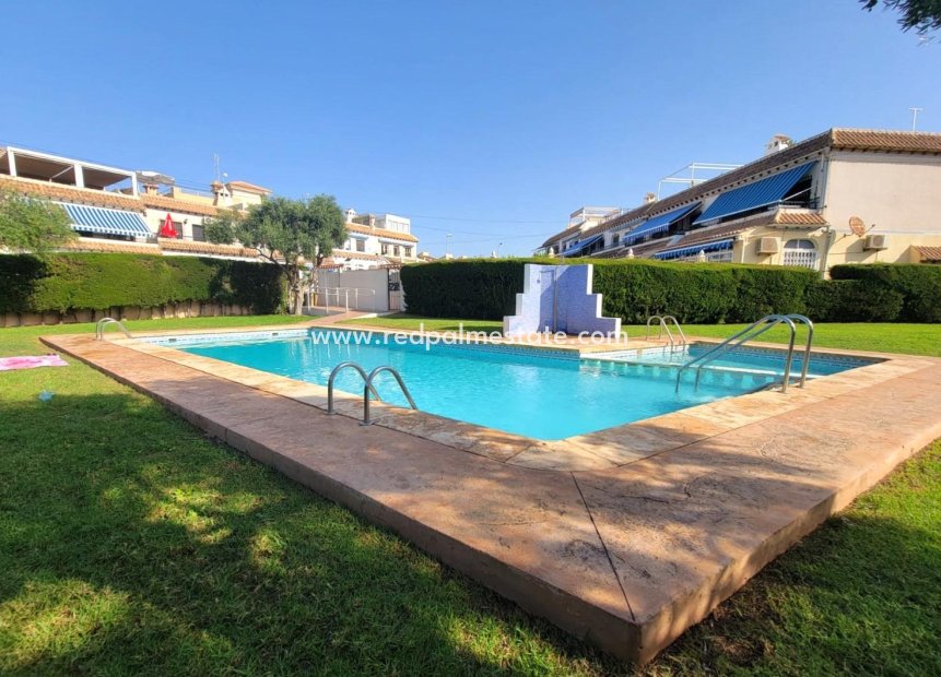 Reventa - Bungalow -
Torrevieja - Rosaleda-los frutales