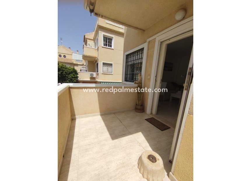 Reventa - Bungalow -
Torrevieja - Torreblanca