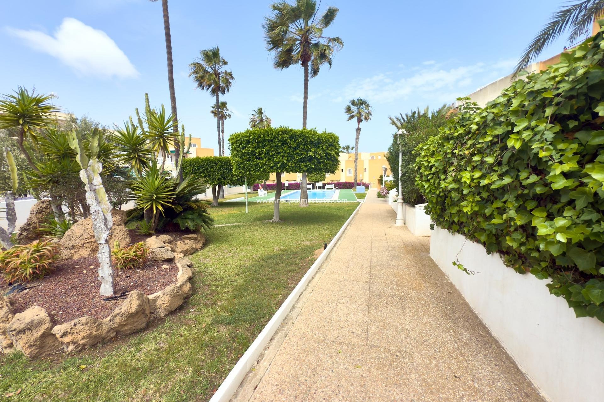 Reventa - Bungalow -
Torrevieja - Torreblanca