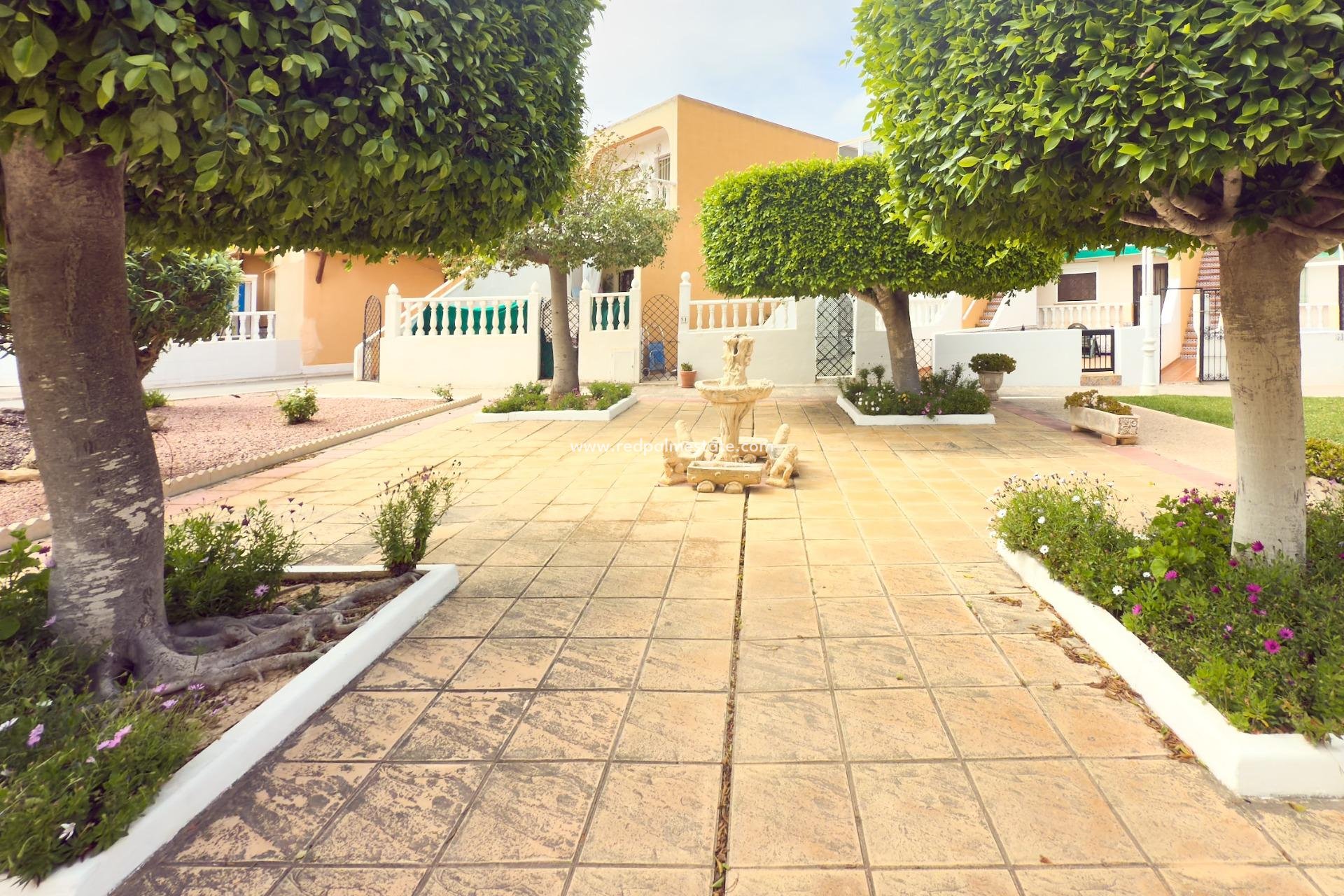Reventa - Bungalow -
Torrevieja - Torreblanca