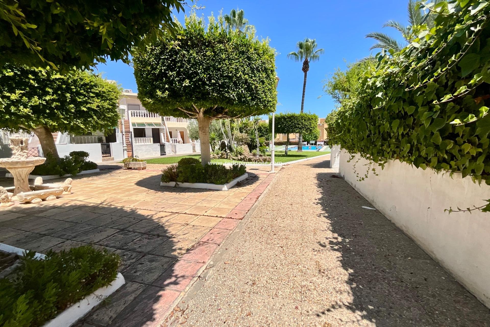 Reventa - Bungalow -
Torrevieja - Torreblanca