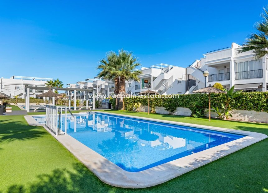 Reventa - Bungalow -
Torrevieja