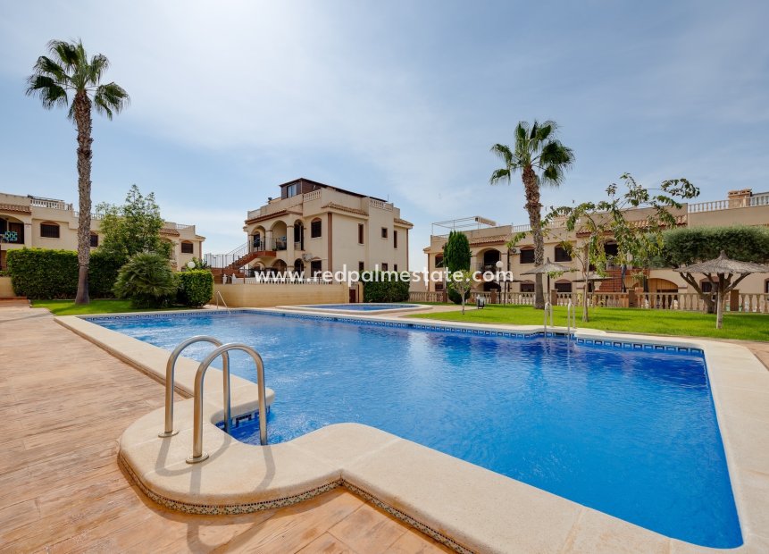 Reventa - Bungalow -
Torrevieja