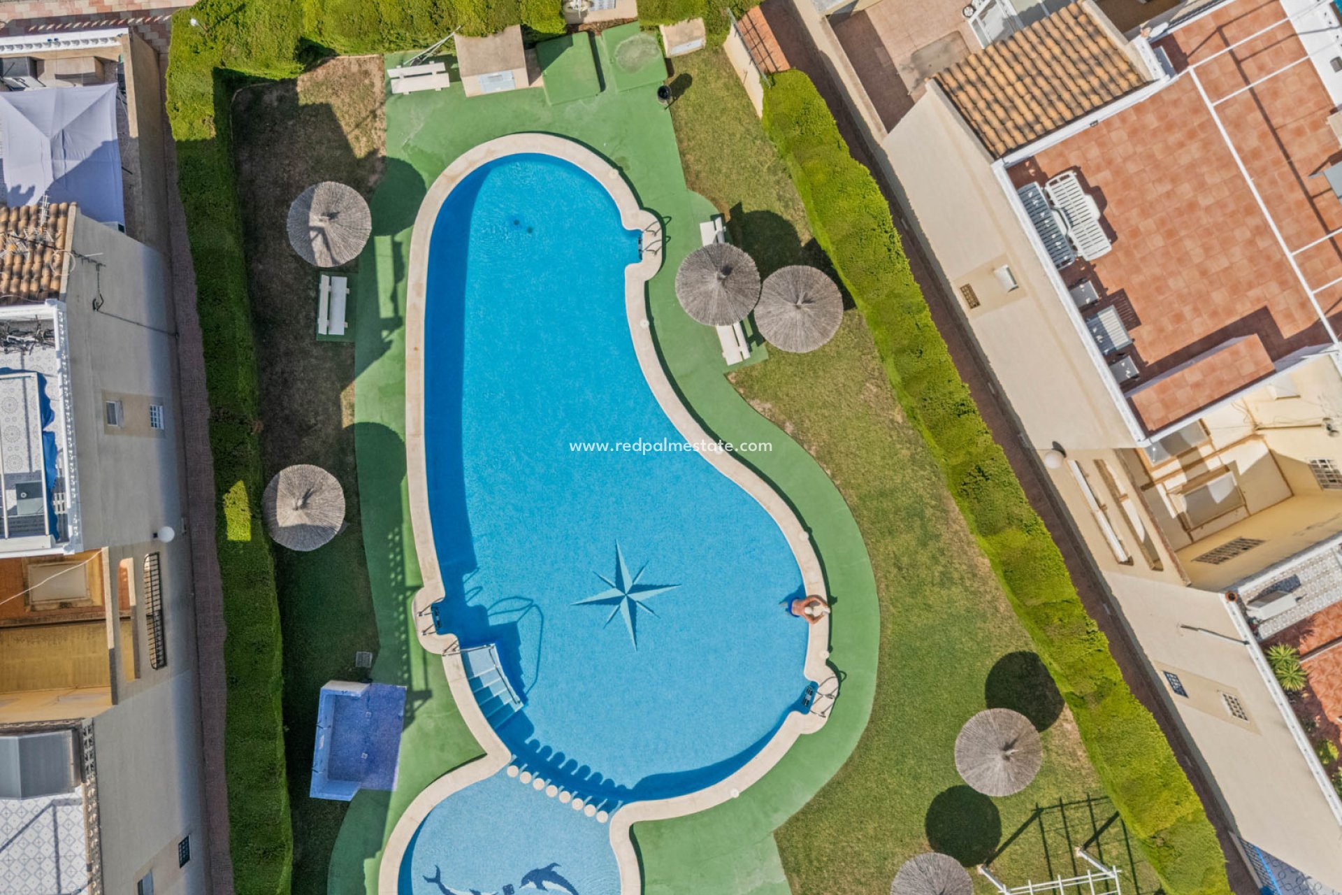 Reventa - Bungalow -
Torrevieja