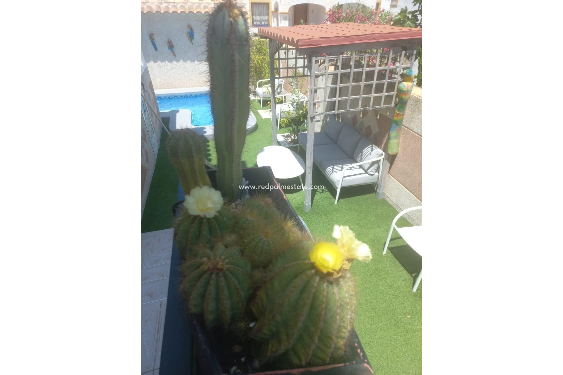 Reventa - Casa Adosada -
Orihuela Costa - Los Almendros-la Florida