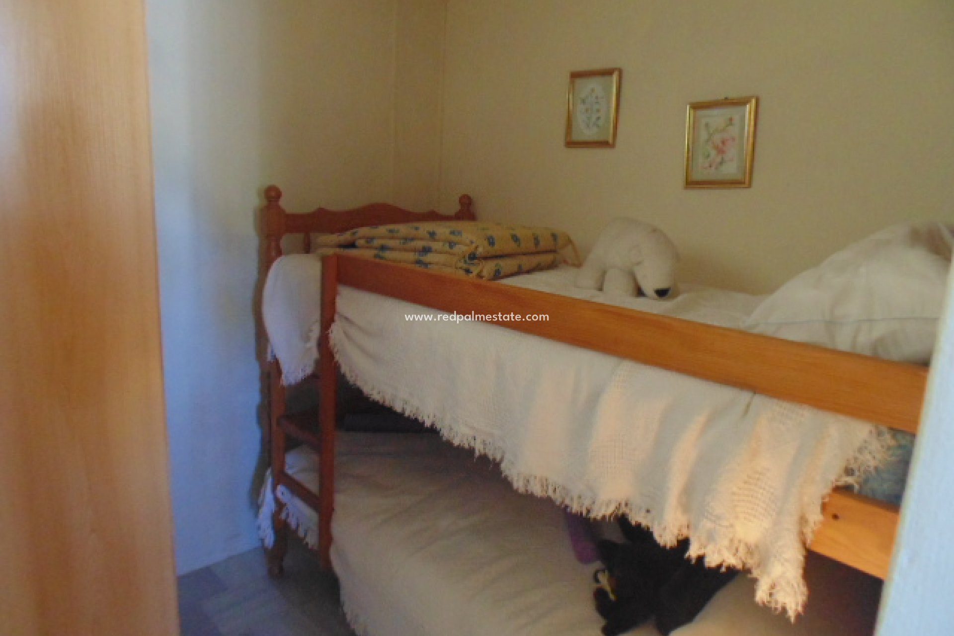 Reventa - Casa Adosada -
San Miguel de Salinas - Calle Luisa Fernanda