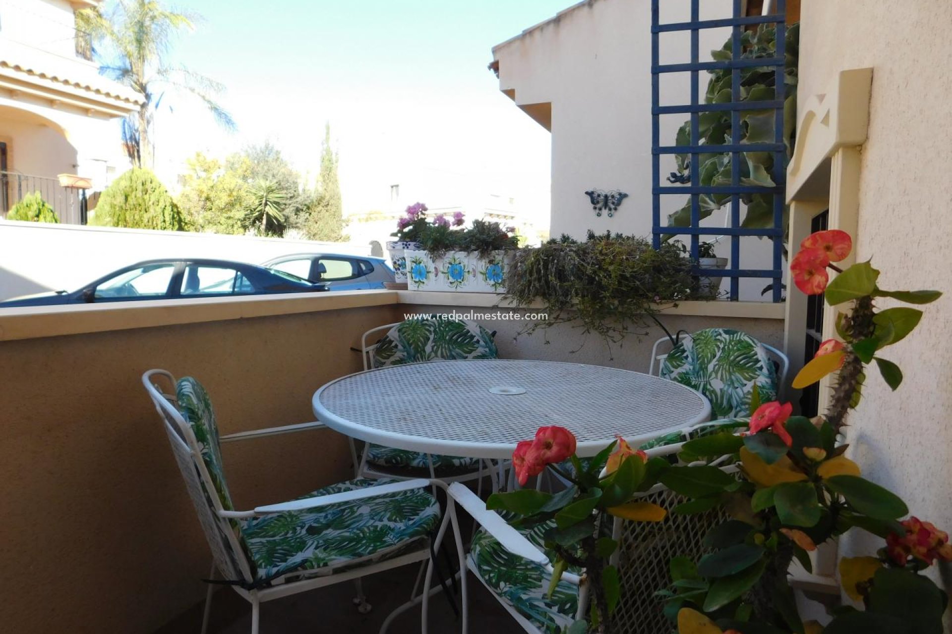 Reventa - Casa Adosada -
San Miguel de Salinas - San Miguel Salinas