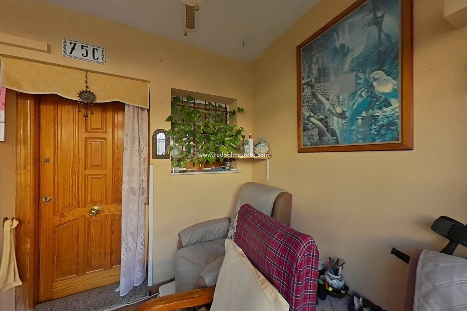 Reventa - Casa Adosada -
San Pedro del Pinatar - El Salero