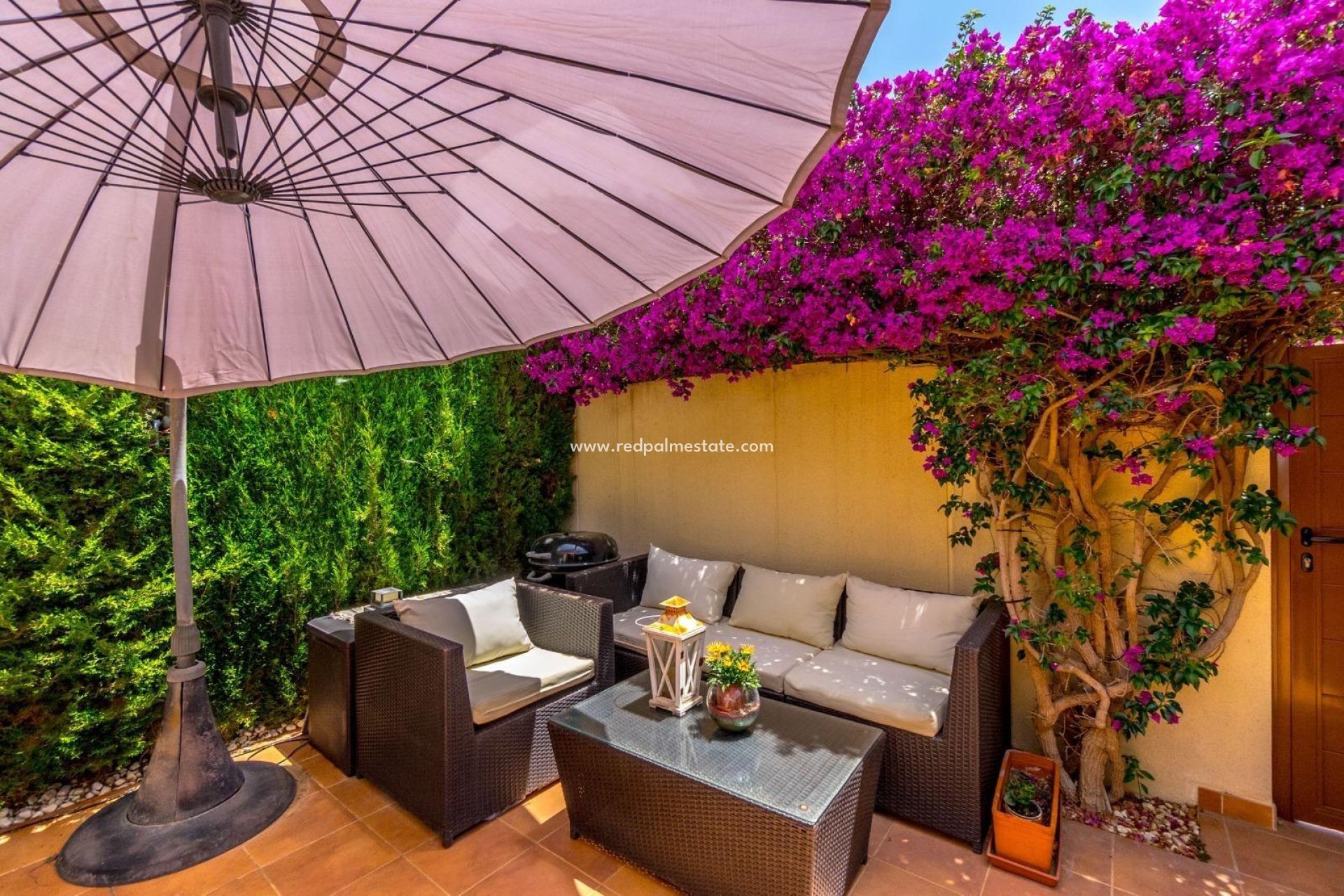 Reventa - Casa Adosada -
Torrevieja - Aguas Nueva