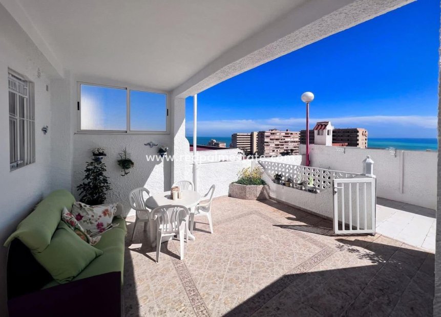 Reventa - Casa Adosada -
Torrevieja - Costa Blanca
