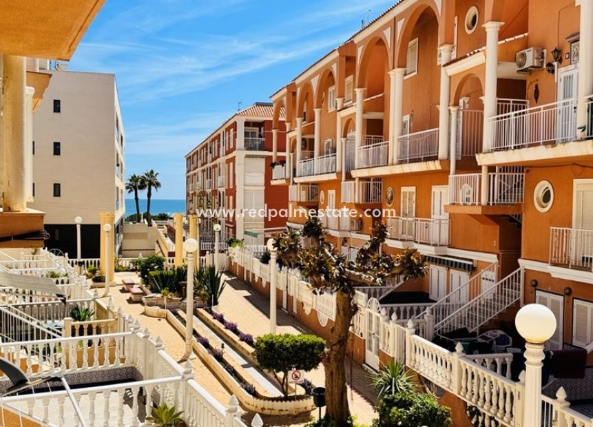 Reventa - Casa Adosada -
Torrevieja - Costa Blanca