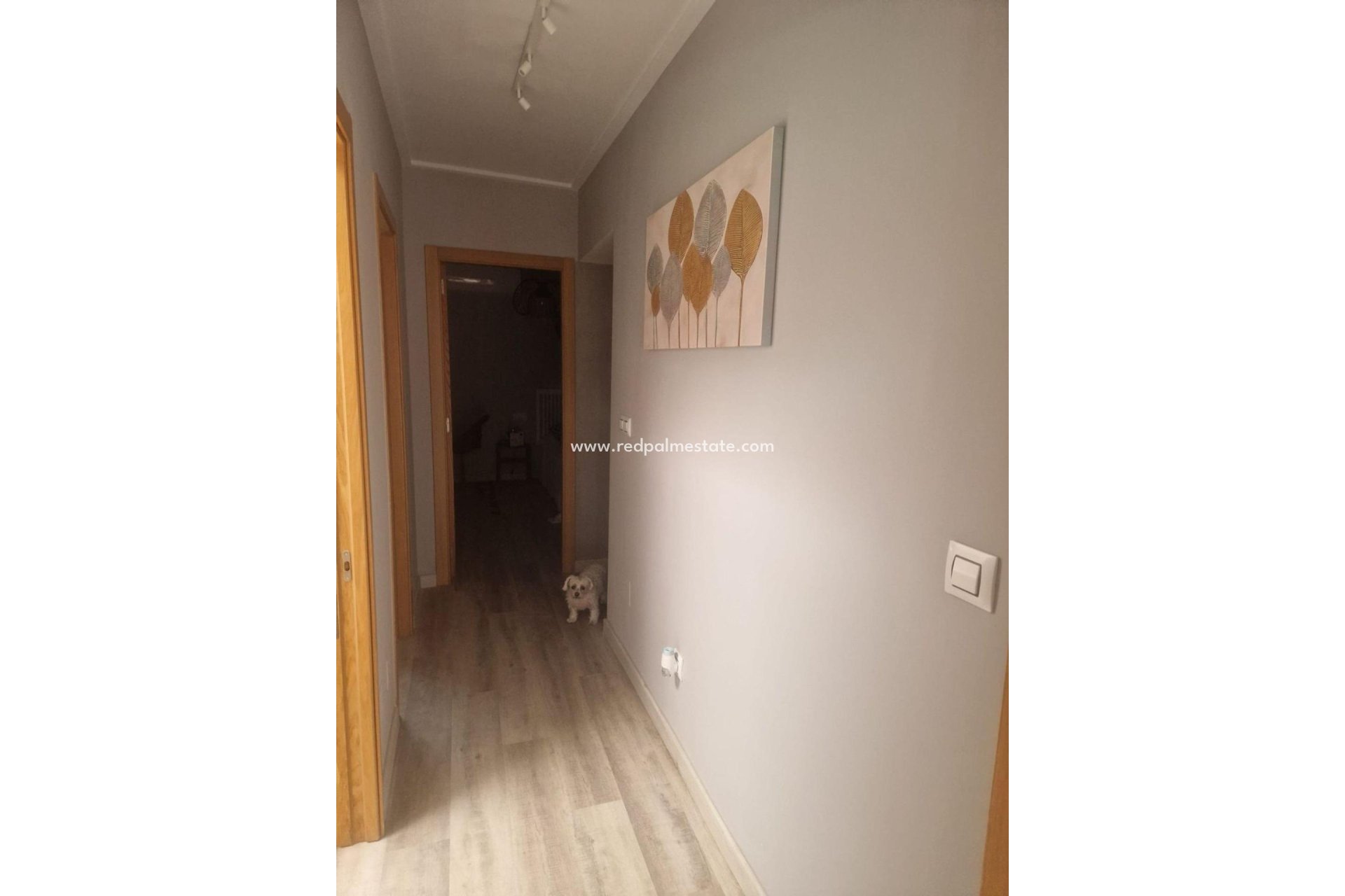 Reventa - Casa Adosada -
Torrevieja - Los balcones