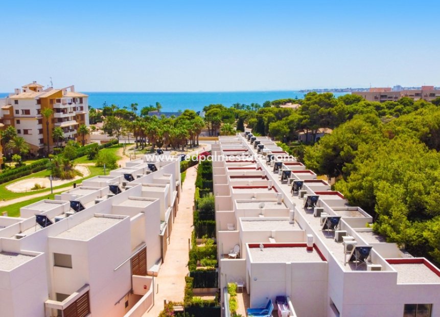 Reventa - Casa Adosada -
Torrevieja - Punta prima