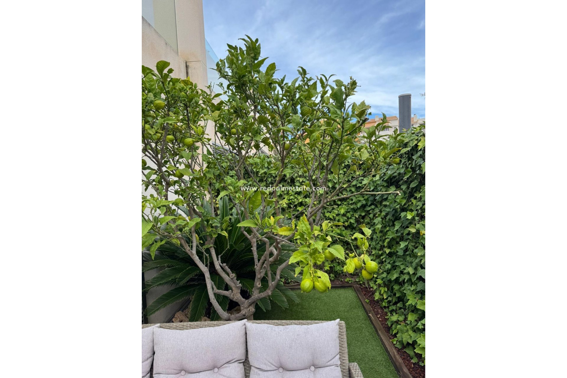 Reventa - Casa Adosada -
Torrevieja - Punta prima