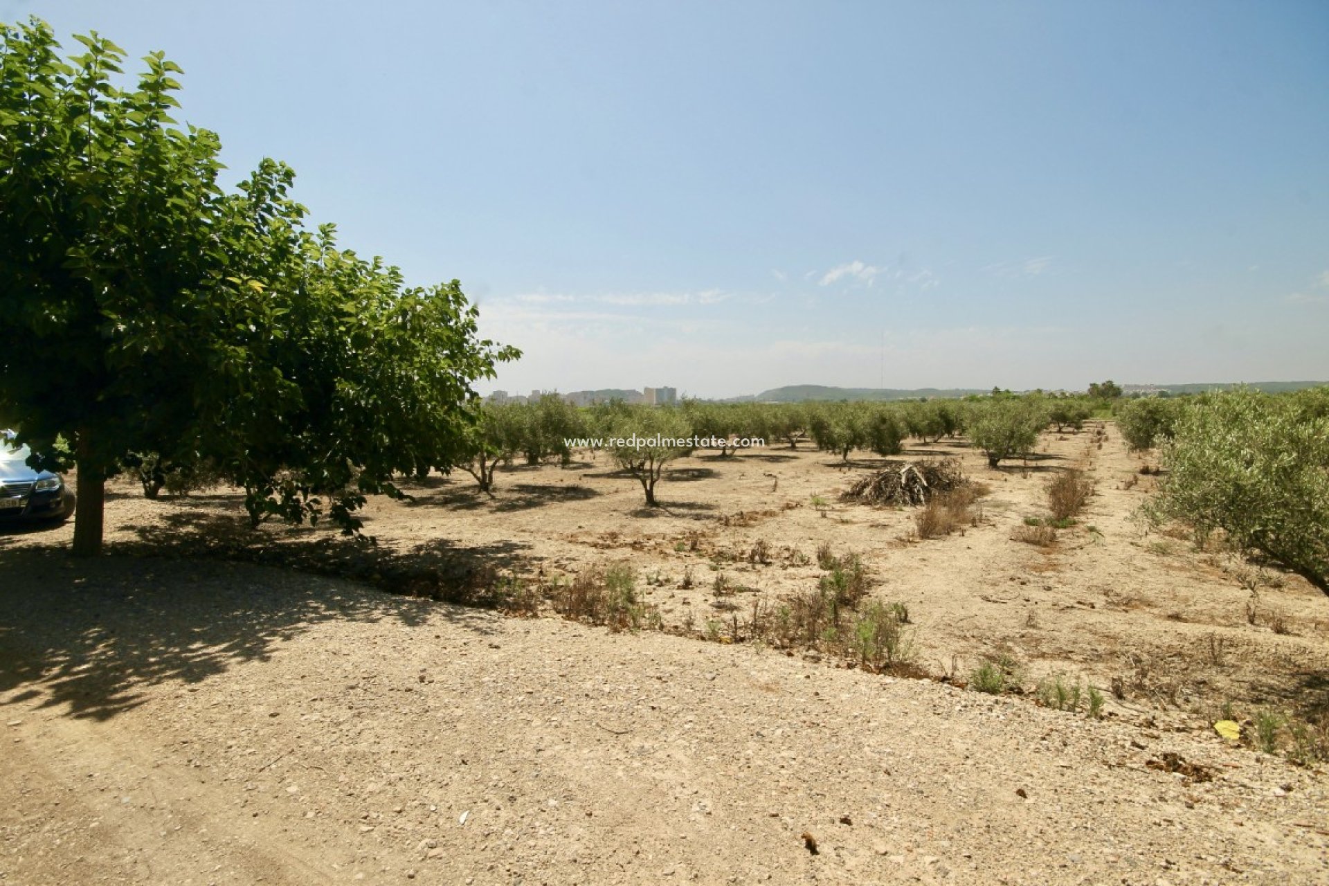 Reventa - Casa de Campo -
Guardamar del Segura - Guardamar