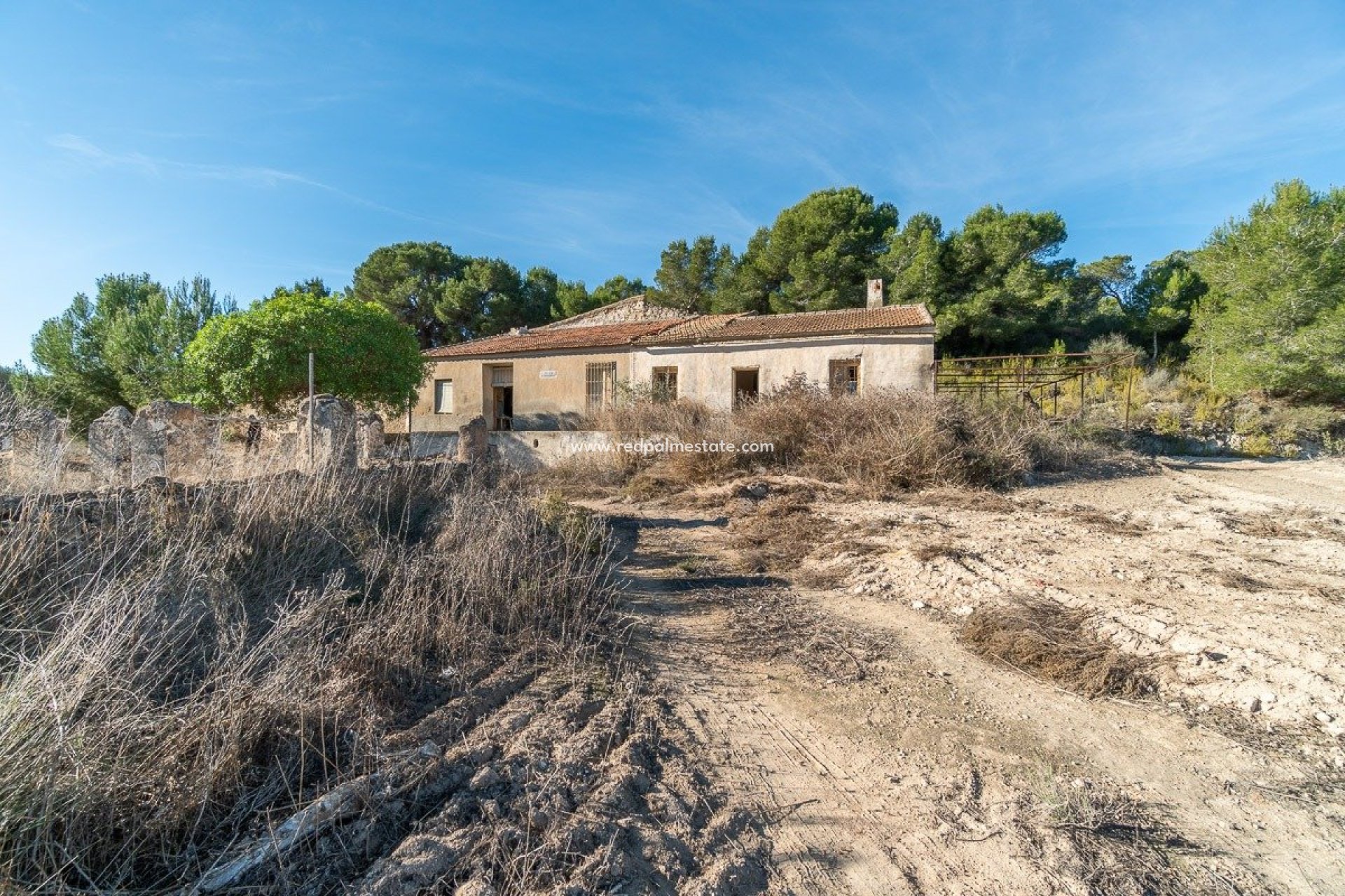 Reventa - Casa de Campo -
Pilar de la Horadada - Pinar de la Perdiz