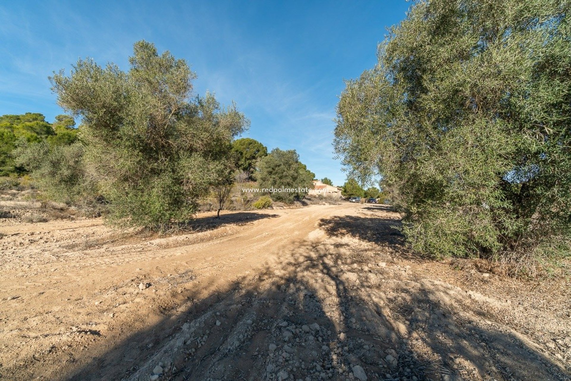 Reventa - Casa de Campo -
Pilar de la Horadada - Pinar de la Perdiz