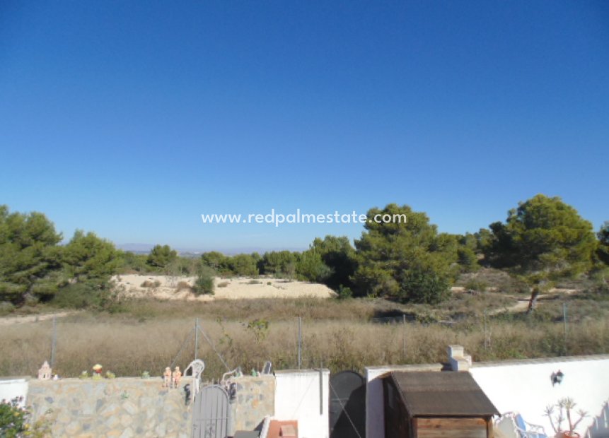 Reventa - Casa de Pueblo -
San Miguel de Salinas - Calle Luisa Fernanda