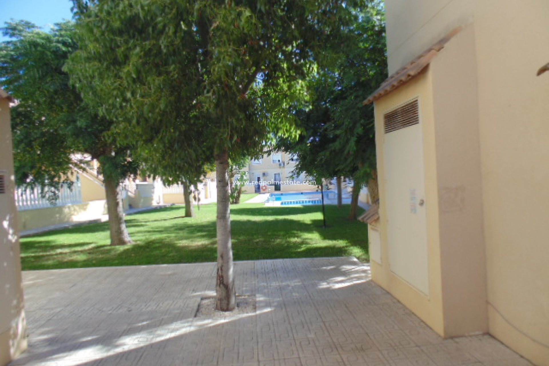 Reventa - Casa de Pueblo -
San Miguel de Salinas - Calle Luisa Fernanda