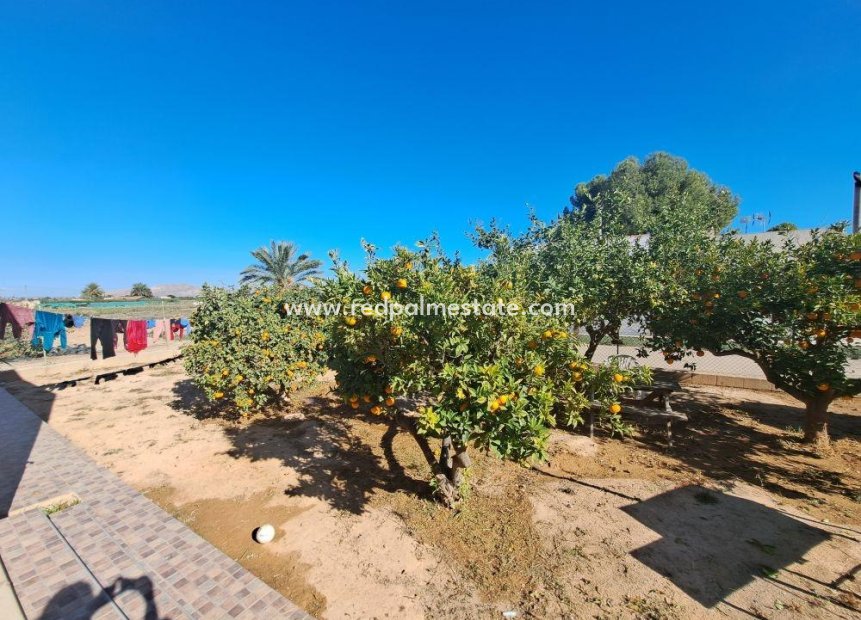 Reventa - Casa de Pueblo -
Torre Pacheco - Murcia