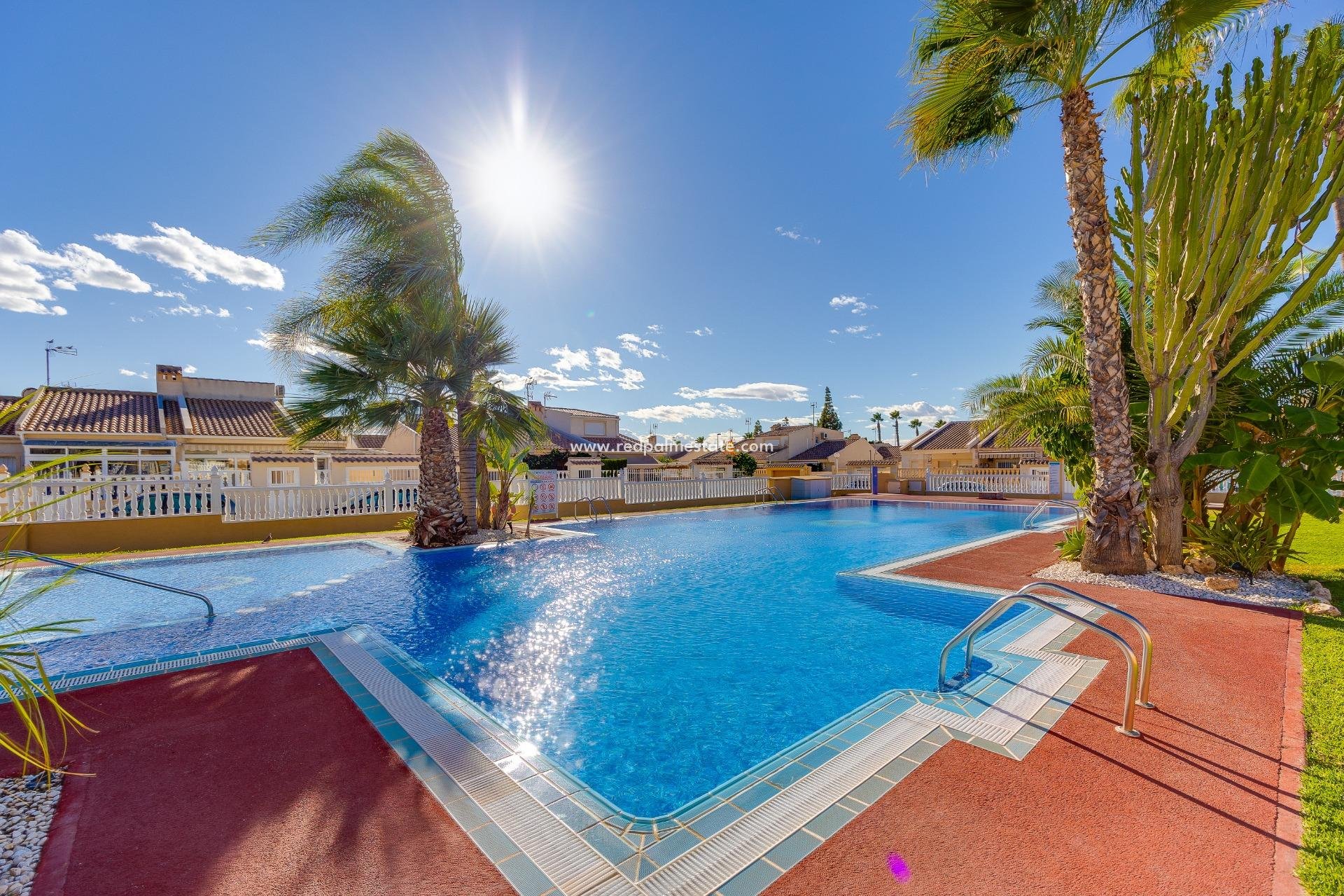 Reventa - Casa de Pueblo -
Torrevieja - Nueva Torrevieja - Aguas Nuevas