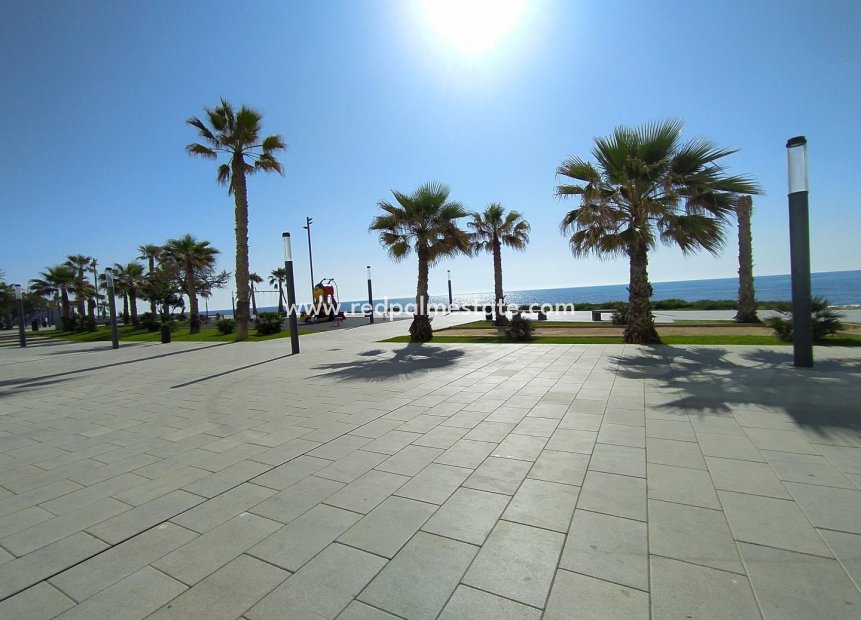 Reventa - Comercial -
Torrevieja