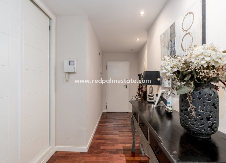 Reventa - Departamento -
Alicante - Center