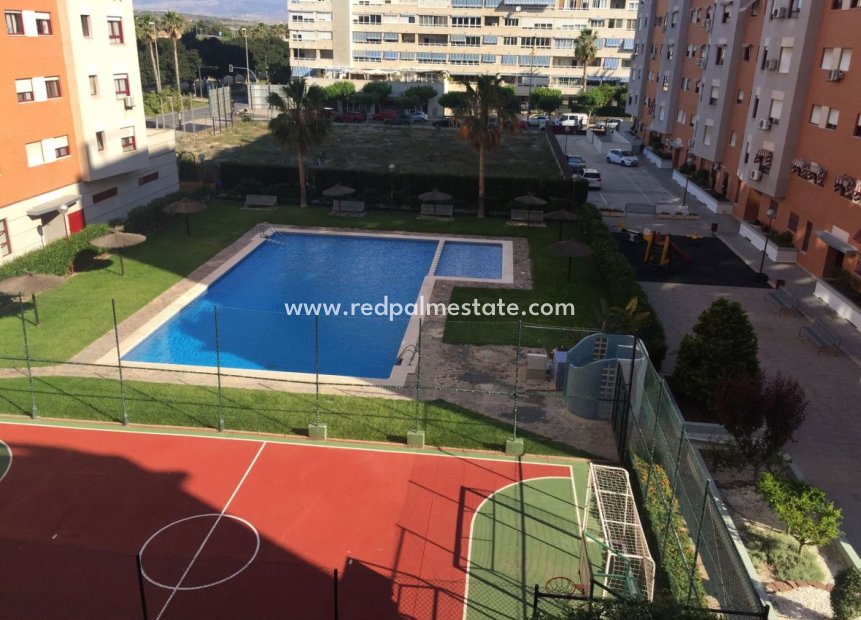 Reventa - Departamento -
Alicante - Costa Blanca