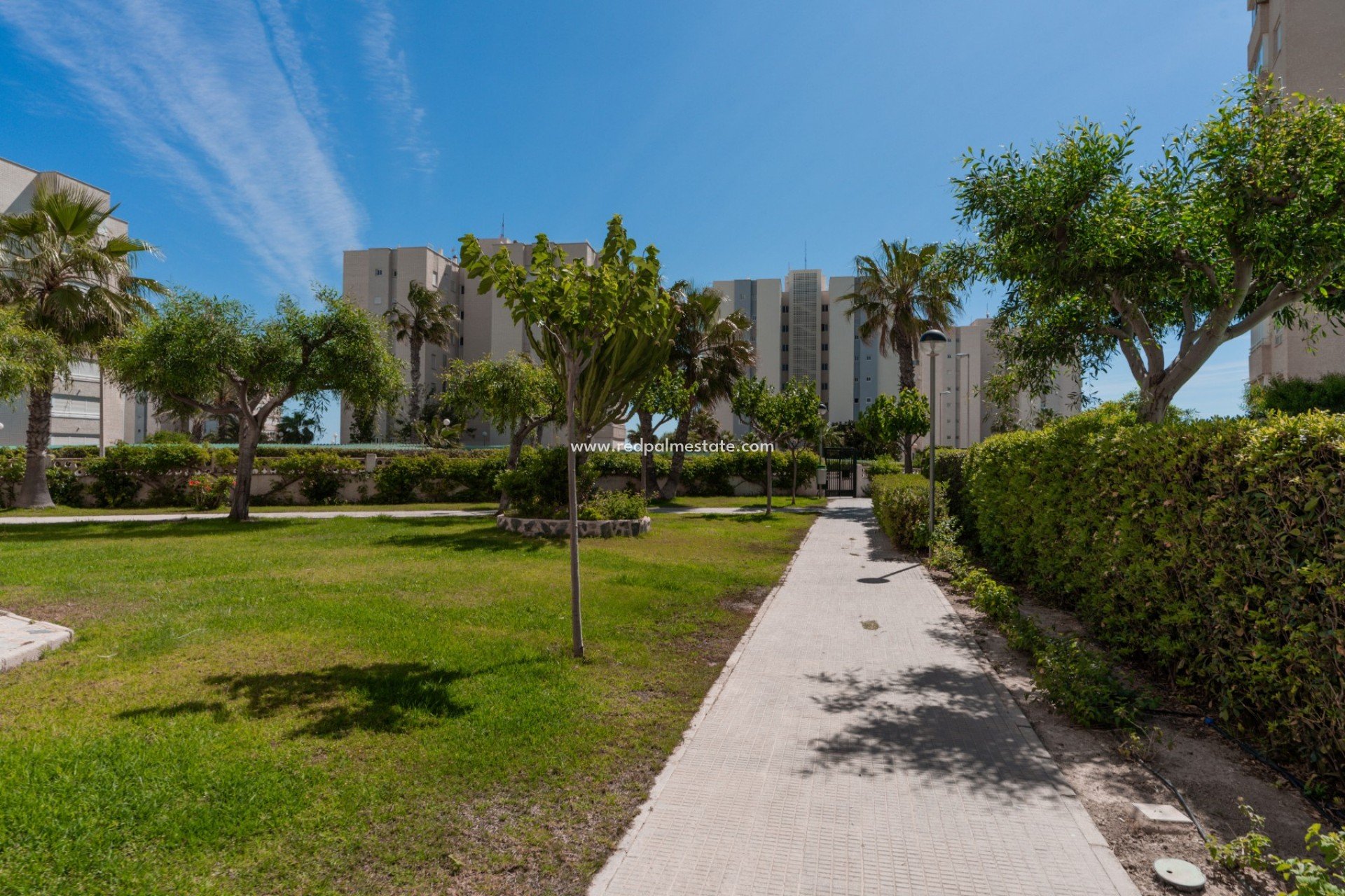 Reventa - Departamento -
Arenales del Sol