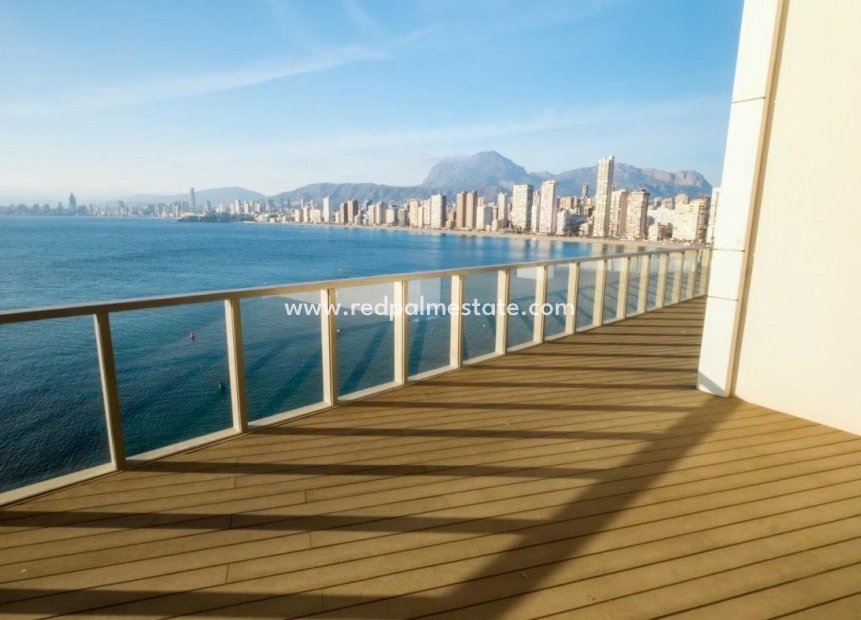 Reventa - Departamento -
Benidorm - Costa Blanca